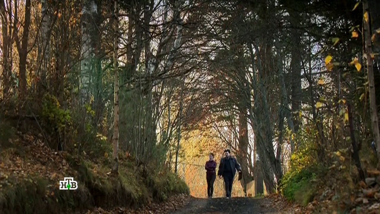 Гончие 6 сезон 6 серия | Смотреть сериал Гончие новый 6 сезон онлайн 6 серия