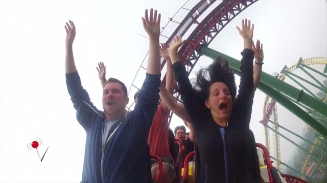 Roller Coasters Could Help People Pass Kidney Stones