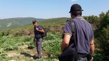 Pezullohet kreu i policisë së Lezhës - Top Channel Albania - News - Lajme
