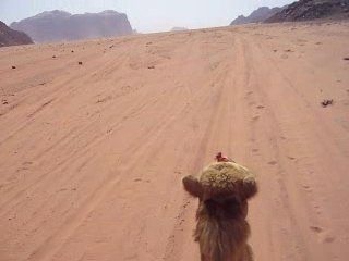 wadi rum, jordan