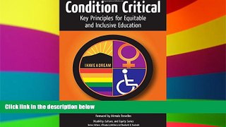 Big Deals  Condition Critical--Key Principles for Equitable and Inclusive Education (Disability,