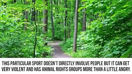 Inappropriate Sports People Shouldn't Be Allowed To Play