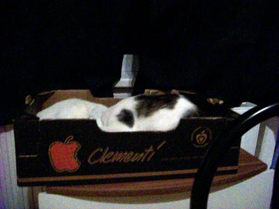 Harvey und Vinzent am 27.09.2016