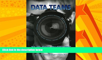 Big Deals  Data Teams:: The Big Picture, Looking at Data Teams Through a Collaborative Lens  Best