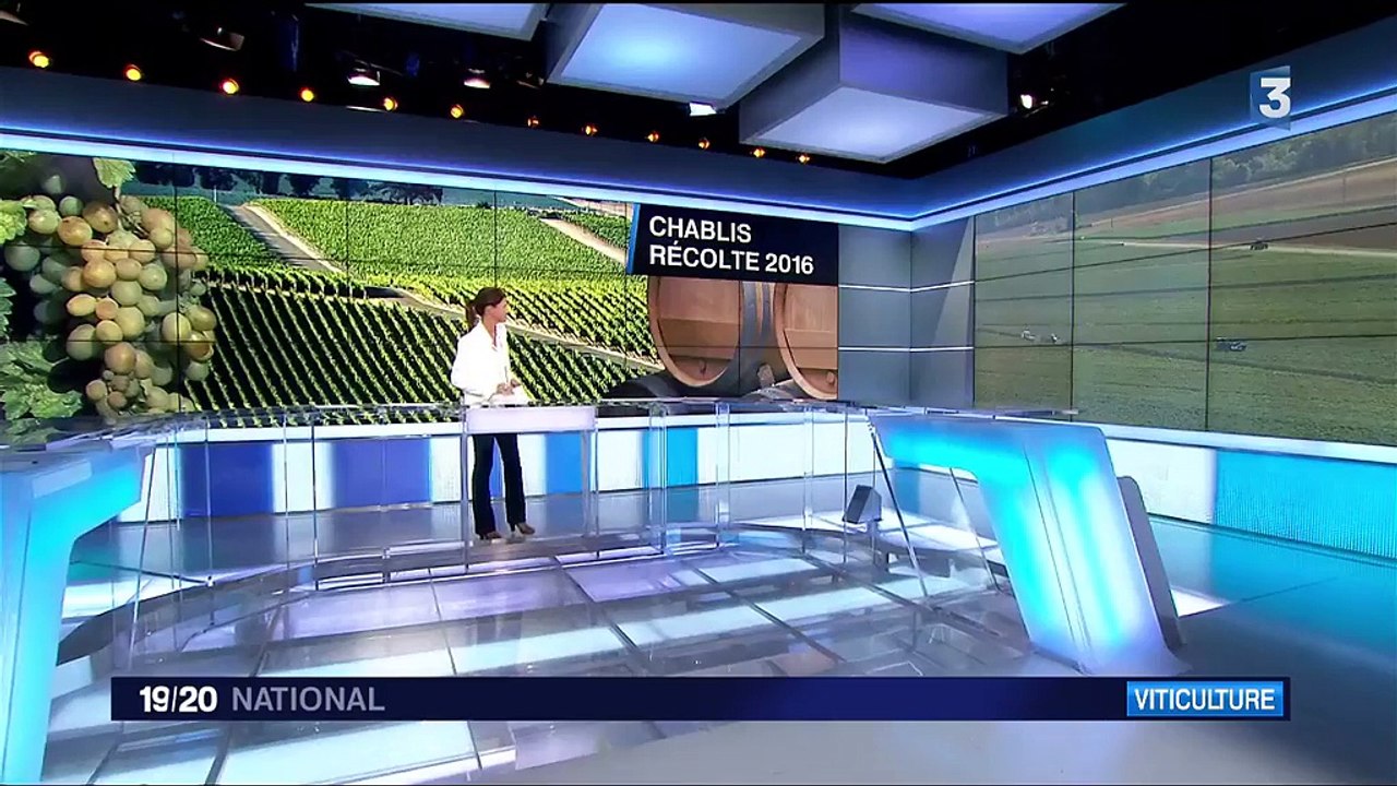 Chablis : une récolte 2016 limitée mais de bonne qualité