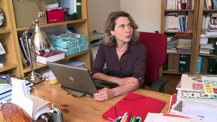 Cnesco: des inégalités scolaires prononcées en France