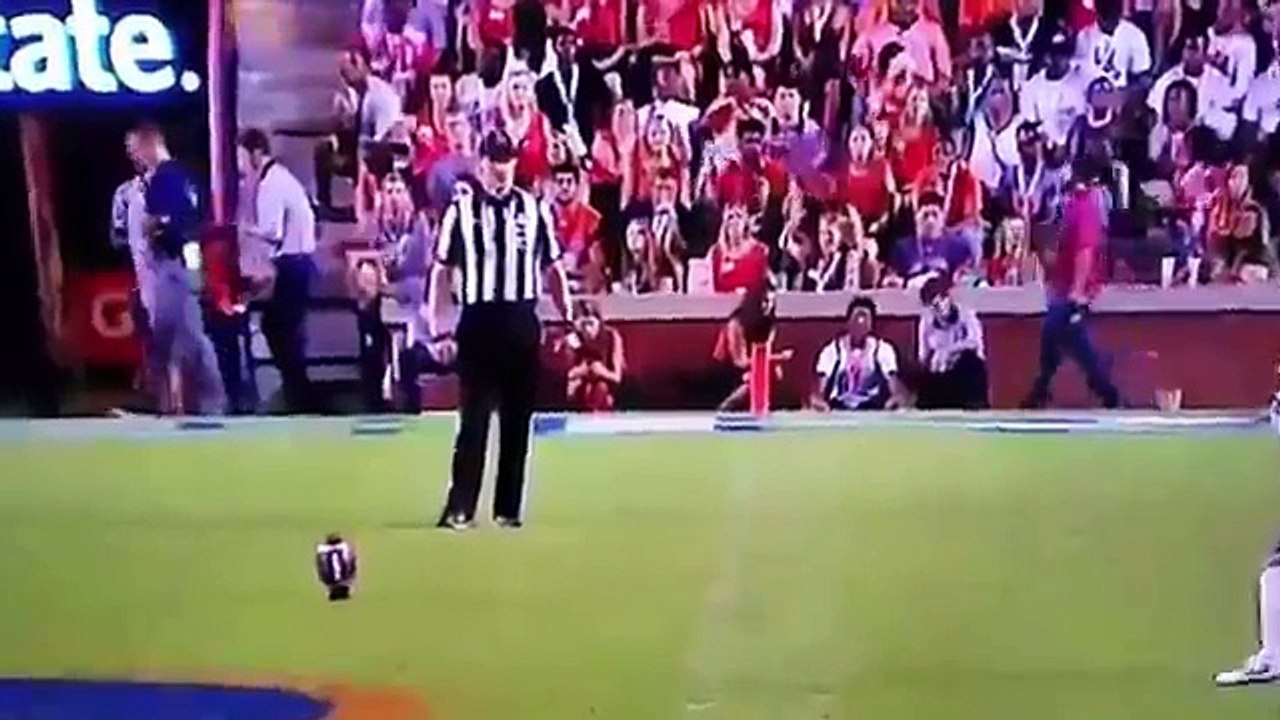 Esto fue lo que pasó cuando una fotógrafa intentó atrapar un balón