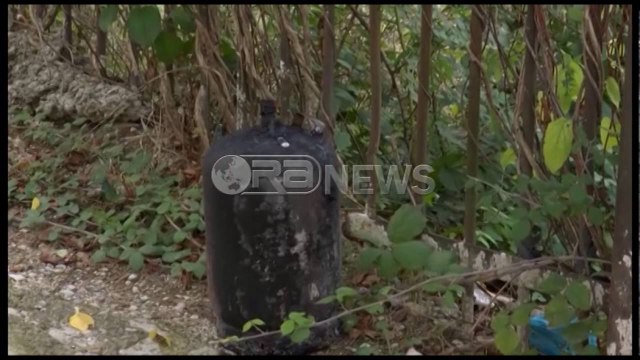 Ora News - Flakët përfshijnë apartamentin tek Kopshti Botanik