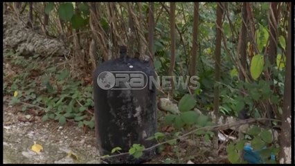 Ora News - Flakët përfshijnë apartamentin tek Kopshti Botanik