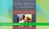 Big Deals  Troubling the Waters: Fulfilling the Promise of Quality Public Schooling for Black