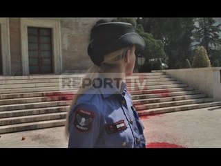 Report TV - Protesta, maturantët qëllojnë me bojë Kryeministrinë