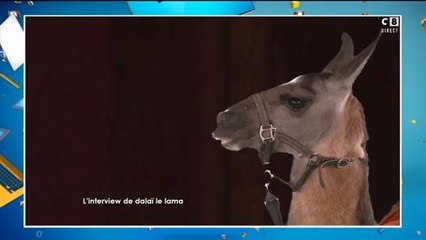 Cyril Hanouna tacle Yann Barthes