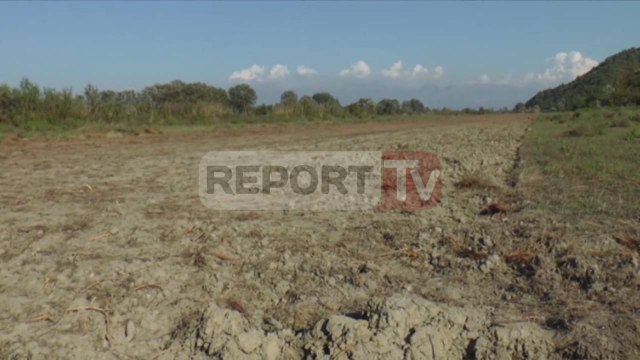 Report TV - Pista e improvizuar e avionëve,Krimet e Rënda nisin hetimet për trafik droge
