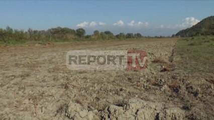 Report TV - Pista e improvizuar e avionëve,Krimet e Rënda nisin hetimet për trafik droge