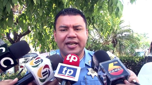 Detenidos sujetos dedicados a la siembra de marihuana