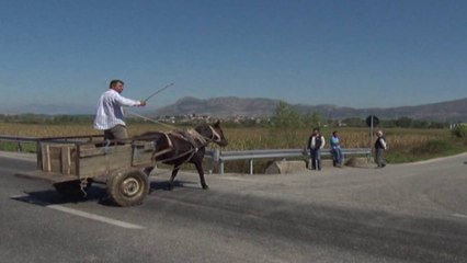 Report TV - Aksidentet në Lezhë, ARRSH s'ka ndërhyrë në kryqëzimin e vdekjes