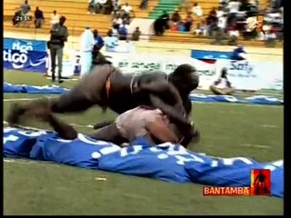 les idées de zoos pour révolutionner la lutte