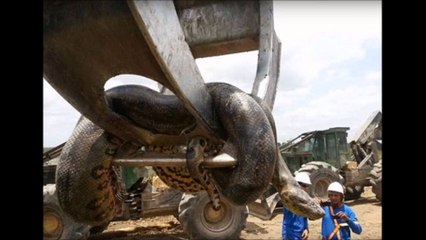 Une incroyable découverte sur un chantier
