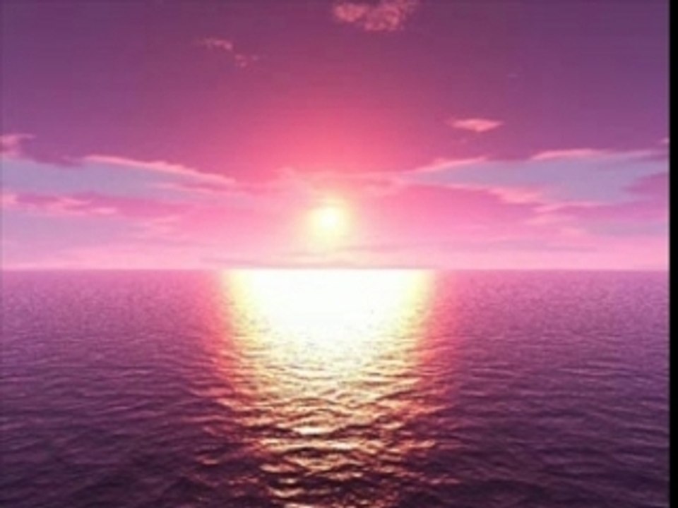 PARADISE