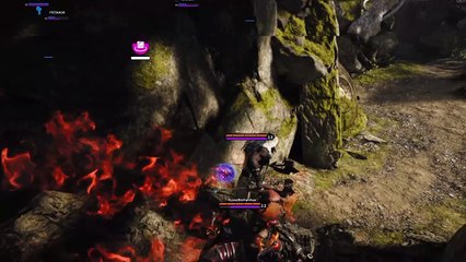 Paragon Iggy Orb Prime Steal n Win!