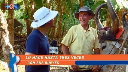 +QN 27 Setiembre 2016