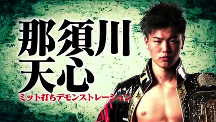 nasukawatenshin kickboxing