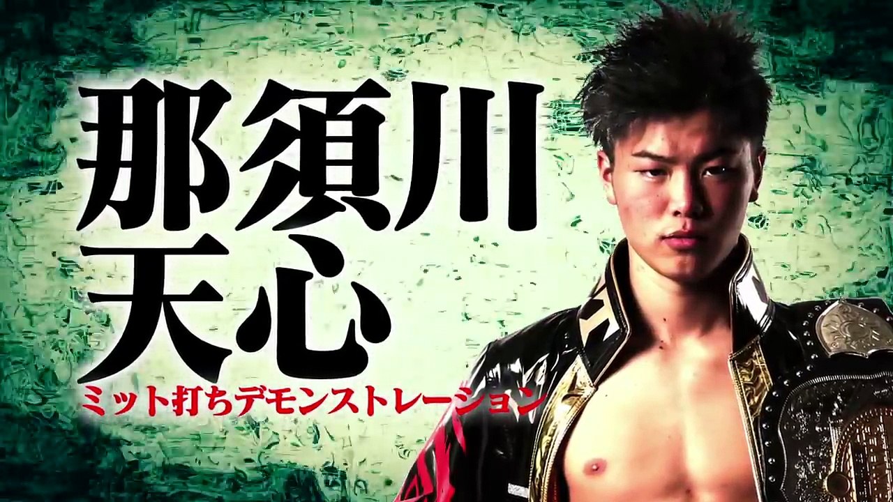 nasukawatenshin kickboxing