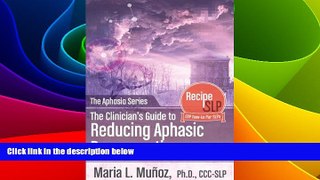 Big Deals  The Clinician s Guide to Reducing Aphasic Perseveration (The Aphasia Series Book 2)