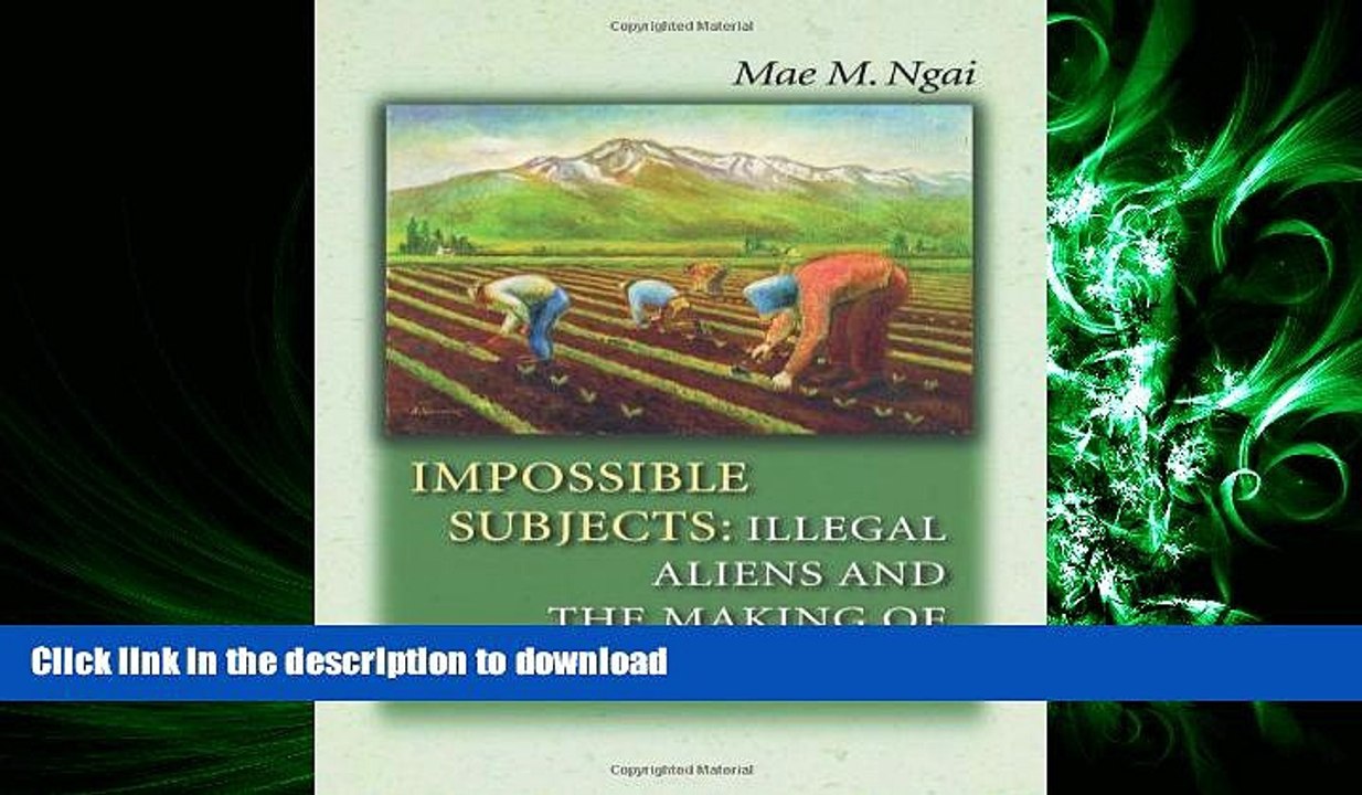 FAVORIT BOOK Impossible Subjects: Illegal Aliens and the Making of Modern America (Politics and