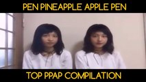 Rika & Riko PPAP Pen Pineapple Apple Pen Original and Covers Compilation