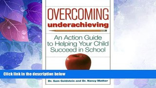Big Deals  Overcoming Underachieving: An Action Guide to Helping Your Child Succeed in School