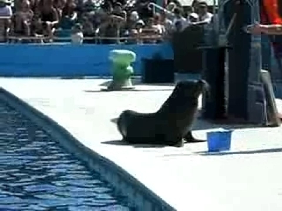 Video 1