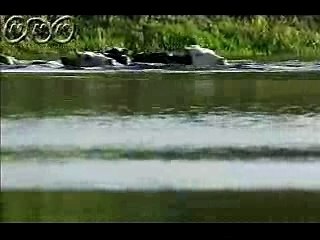 Sekai satoyama kikou PV