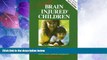 Must Have PDF  Rescuing Brain Injured Children: 3rd Edition  Best Seller Books Best Seller