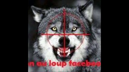c'est fou ce que le loup a peur de l'homme