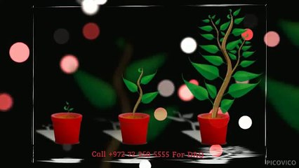 Professional labview based projects consultant