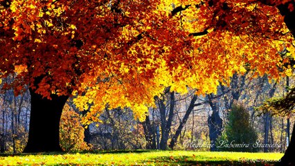 Život sa dá prirovnať k ceste