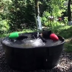 Un ours se fait un énorme kiff en prenant un bain !