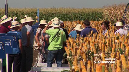 „Almex“ na „Dekalb“ Inovativnom centru