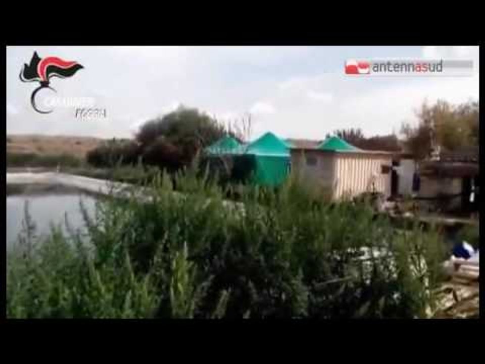 TG antennasud 27 09 2016 Sei ettari coltivati a cannabis. Maxi sequestro nel foggiano