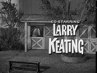 Mister Ed S2 | Ed The Matchmaker