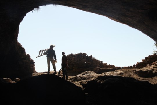Tesadüfen Bulduğu Yarasa Gübresiyle Organik Sebze Yetiştiriyor