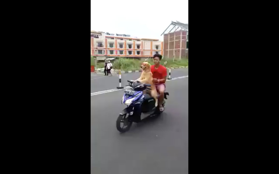 Celui qui conduit c'est celui qui ne boit pas !