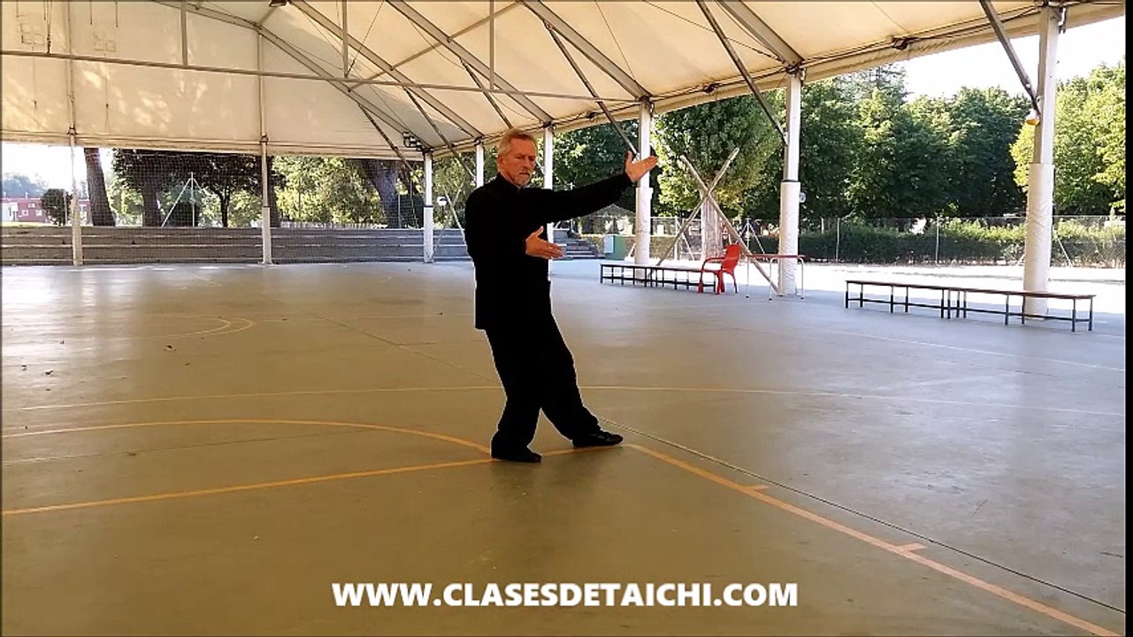 24 movimientos