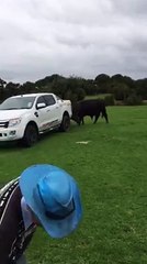 Ce vieillard risque sa vie et réussit à faire fuir un énorme taureau avec une bouteille d'eau et un chapeau !