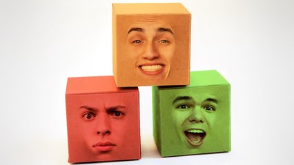 KWEBBELKOP-WE ARE ALL BOXES! (What The Box)