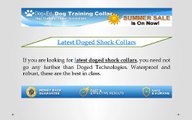 Latest Doged Shock Collars