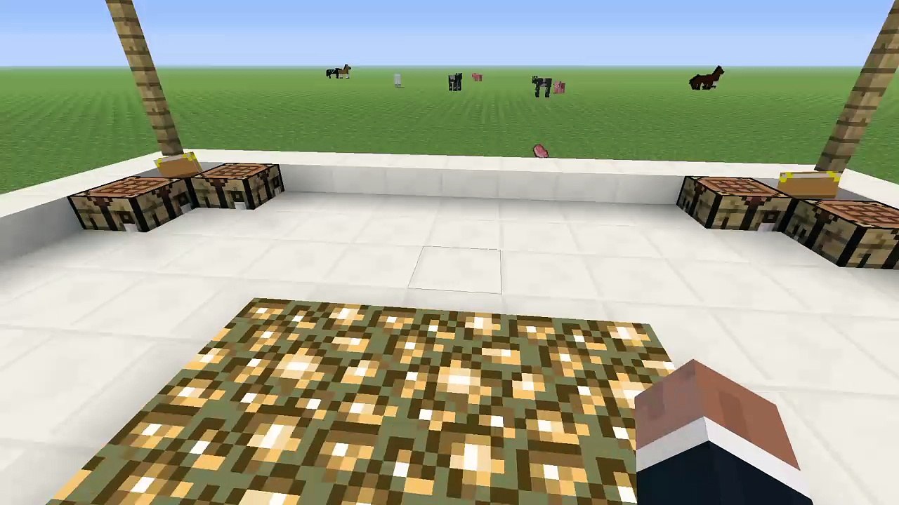 Minecraft: PlayStation®4 | Best Spawn Ever