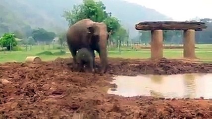 Funny Video _ Facebook[8]