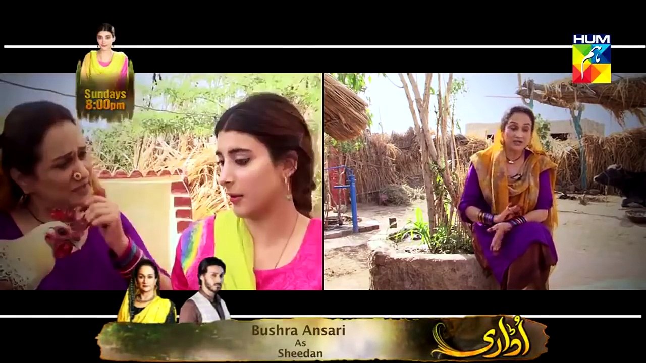 Udaari BTS Hum TV Drama